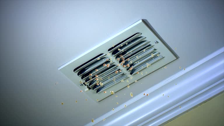 Best Air Duct Cleaning Near Me  in Whitehorn Cove, OK