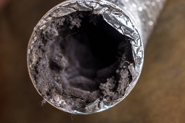 Best Air Duct Cleaning Company Near Me  in Whitehorn Cove, OK